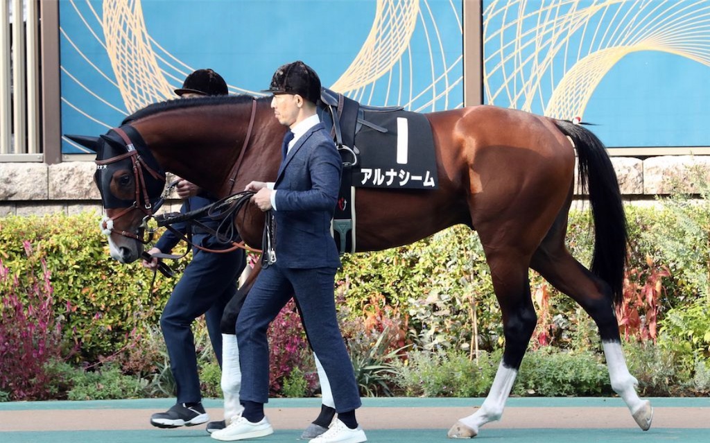 f:id:global_dyna:20230218222510j:image f:id:global_dyna:20230218222510j:image