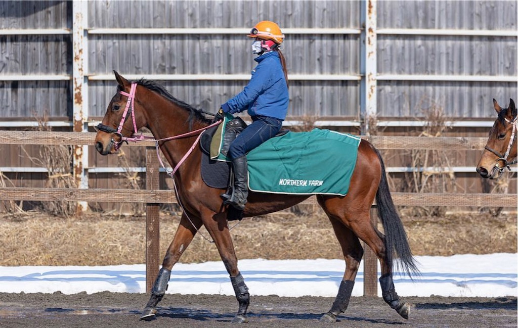 f:id:global_dyna:20230428215037j:image f:id:global_dyna:20230428215037j:image