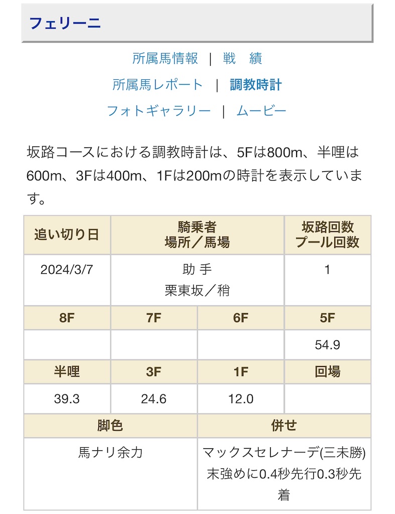 f:id:global_dyna:20240308233254j:image