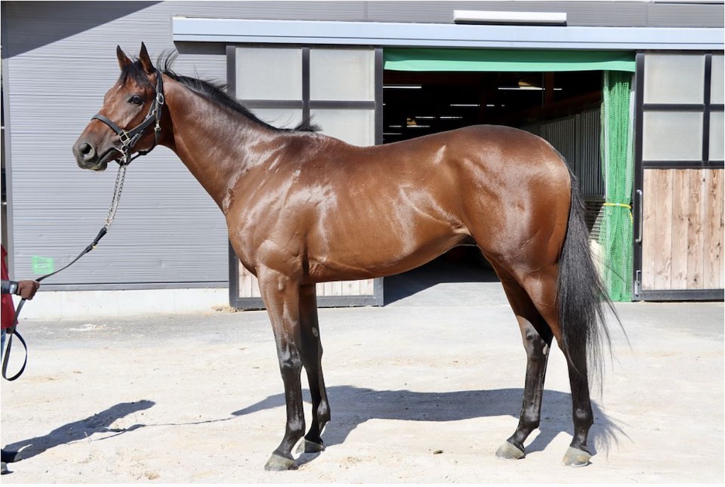 f:id:global_dyna:20251010153428j:image f:id:global_dyna:20251010153428j:image