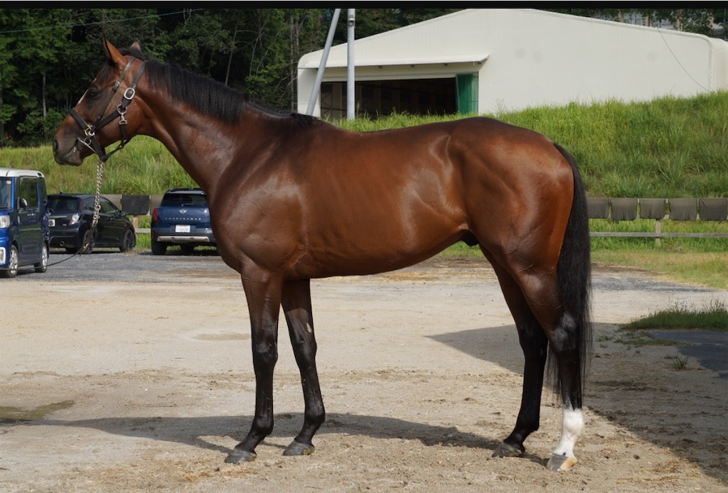 f:id:global_dyna:20251010160406j:image