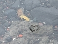 20260717181741