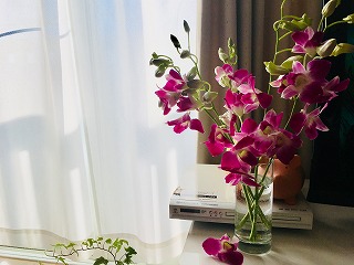 f:id:globalcat:20181227112643j:plain f:id:globalcat:20181227112643j:plain
