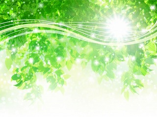 f:id:globalcat:20190104152853j:plain f:id:globalcat:20190104152853j:plain