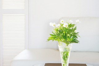 f:id:globalcat:20190104153204j:plain f:id:globalcat:20190104153204j:plain