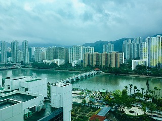 f:id:globalcat:20190309085759j:plain f:id:globalcat:20190309085759j:plain