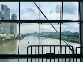 f:id:globalcat:20190309090052j:plain f:id:globalcat:20190309090052j:plain