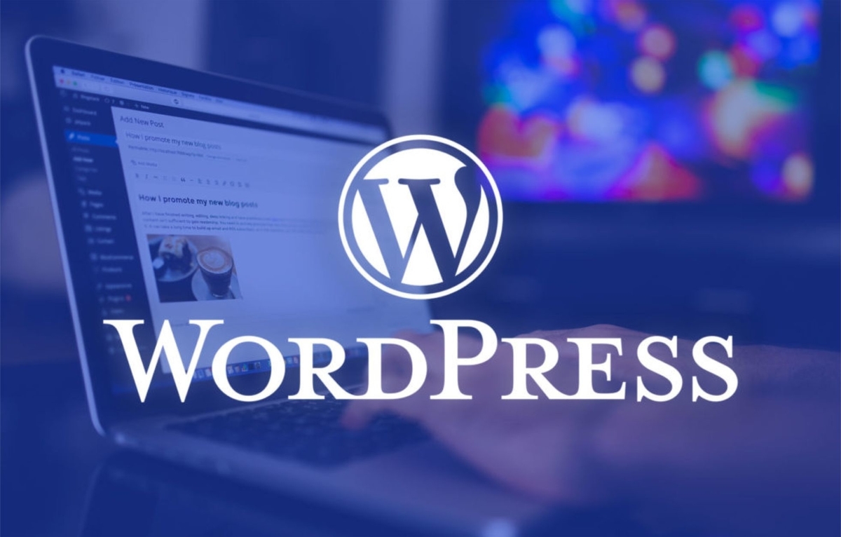 Hire WordPress developers