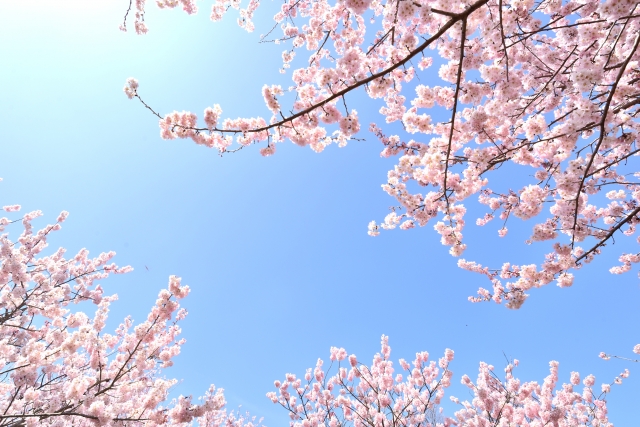 f:id:globalharmony19:20190408224037j:plain f:id:globalharmony19:20190408224037j:plain