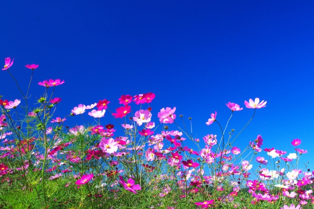 f:id:globalharmony19:20190902001524j:plain f:id:globalharmony19:20190902001524j:plain