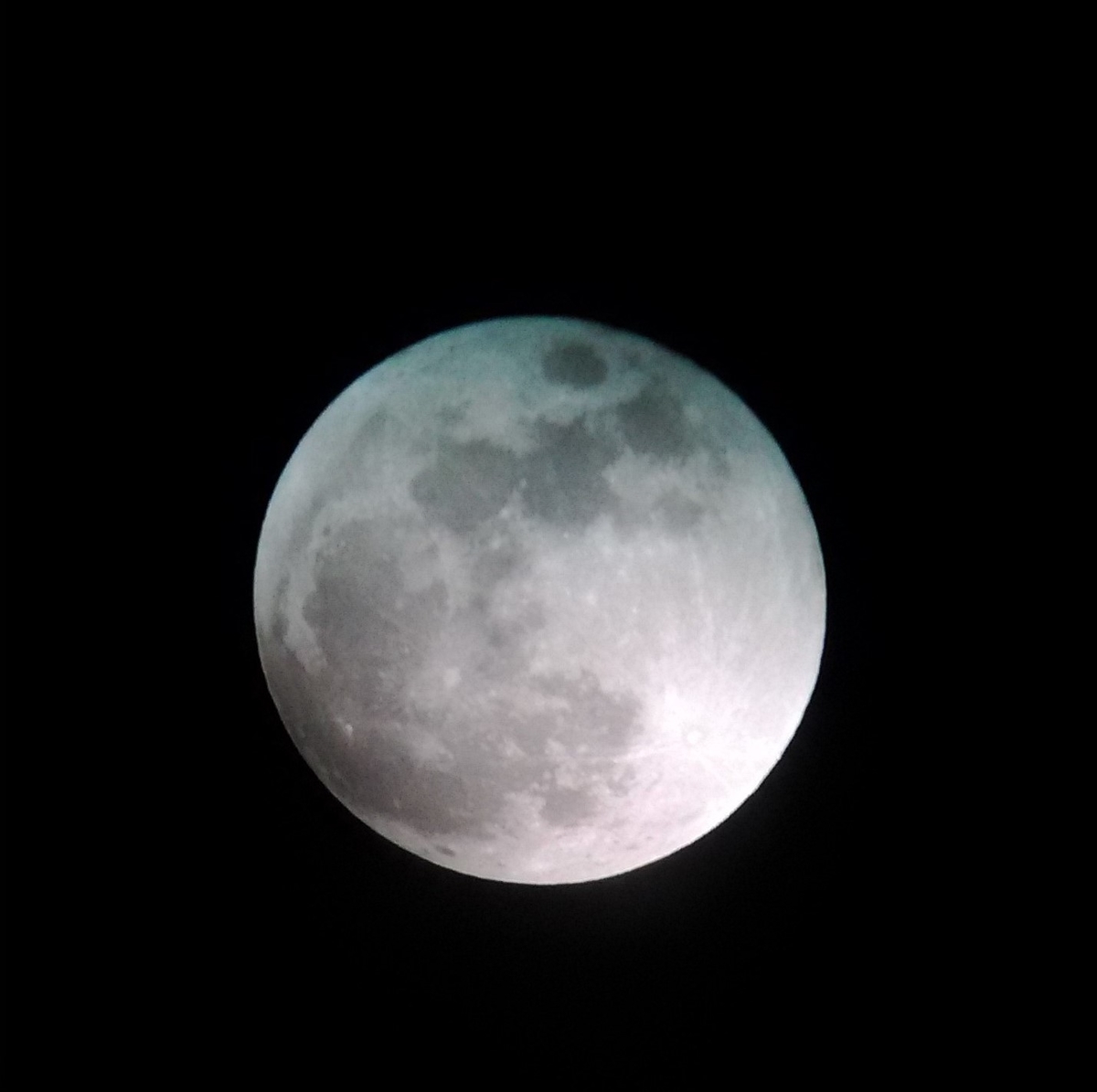 f:id:globalharmony19:20201130142121j:plain