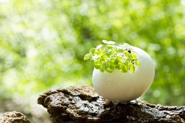 f:id:globalharmony19:20210406145027j:plain