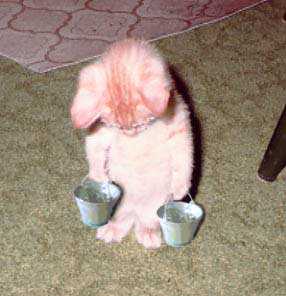 f:id:globalhead:20050417104323:image