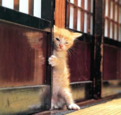 f:id:globalhead:20050417104342:image