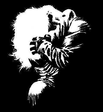 f:id:globalhead:20050824203206j:image f:id:globalhead:20050824203206j:image