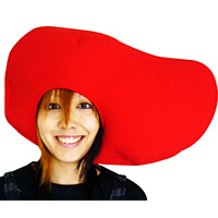 f:id:globalhead:20061117085612j:image