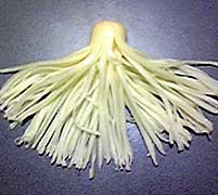 f:id:globalhead:20070217221053j:image