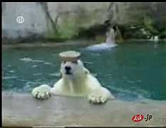 f:id:globalhead:20070217221238j:image