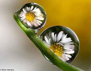 f:id:globalhead:20070807013706j:image