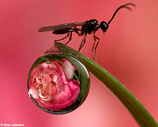 f:id:globalhead:20070807021049j:image