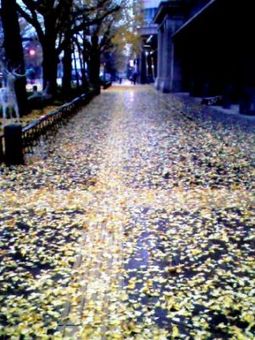 f:id:globalhead:20071221113452j:image