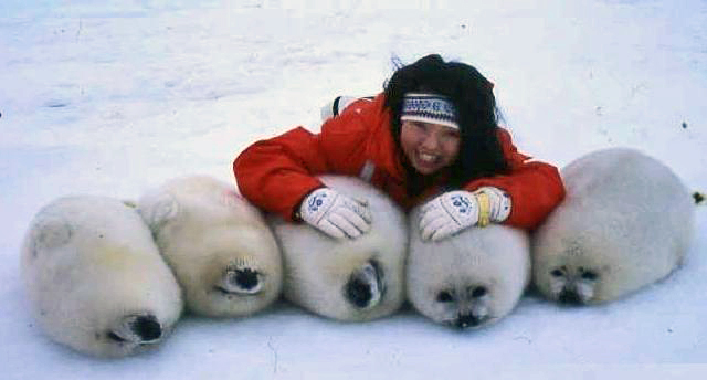 f:id:globalhead:20081103172226j:image