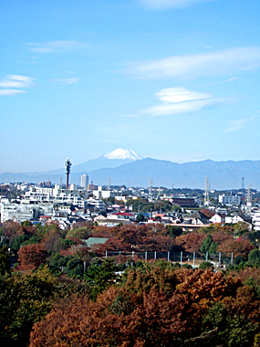 f:id:globalhead:20081124082028j:image