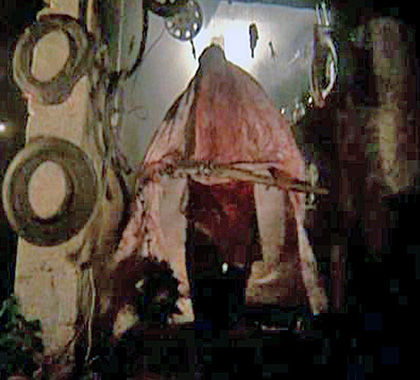 f:id:globalhead:20081215200812j:image