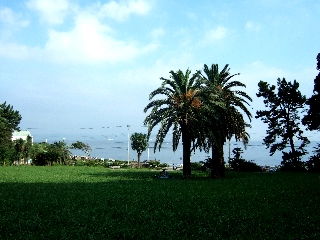 f:id:globalhead:20090802160229j:image