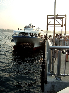 f:id:globalhead:20090802160236j:image