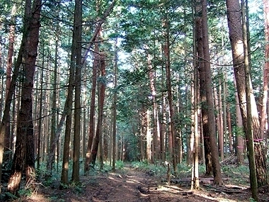 f:id:globalhead:20091012205956j:image