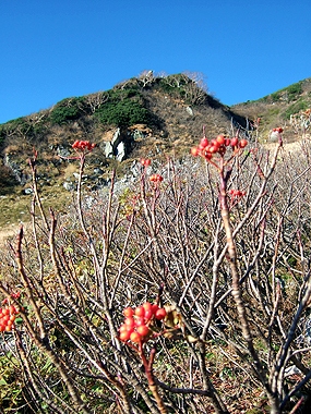 f:id:globalhead:20091013235409j:image