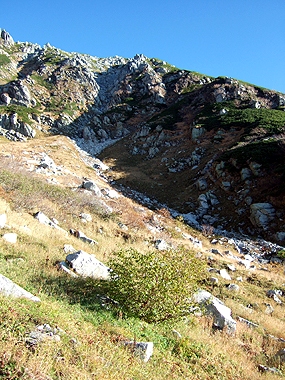 f:id:globalhead:20091013235414j:image