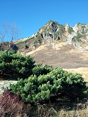 f:id:globalhead:20091013235416j:image