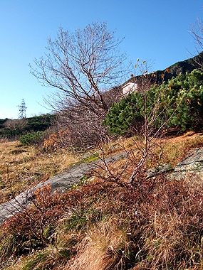 f:id:globalhead:20091013235417j:image