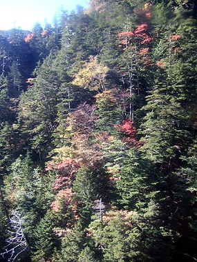 f:id:globalhead:20091013235435j:image