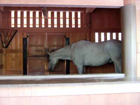 f:id:globalhead:20110323060447j:image