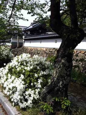 f:id:globalhead:20120504170454j:image