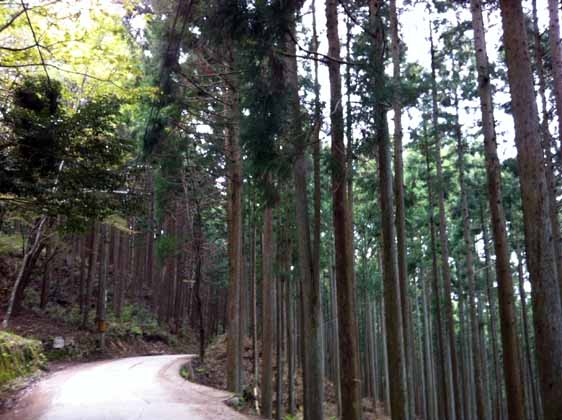 f:id:globalhead:20120504222020j:image f:id:globalhead:20120504222020j:image