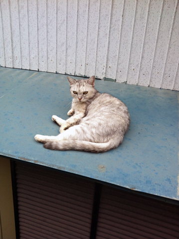 f:id:globalhead:20120923135132j:image