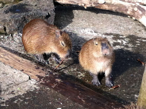 f:id:globalhead:20130105170118j:image f:id:globalhead:20130105170118j:image