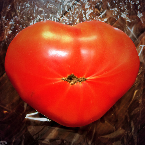 f:id:globalhead:20140105220148j:image