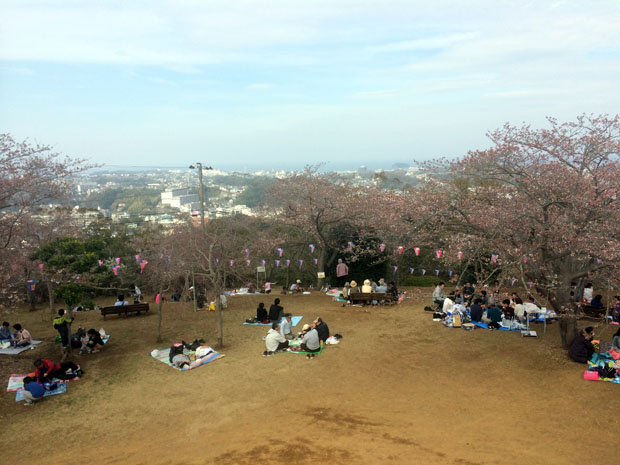 f:id:globalhead:20140330145441j:image