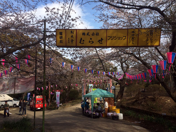 f:id:globalhead:20140330145530j:image