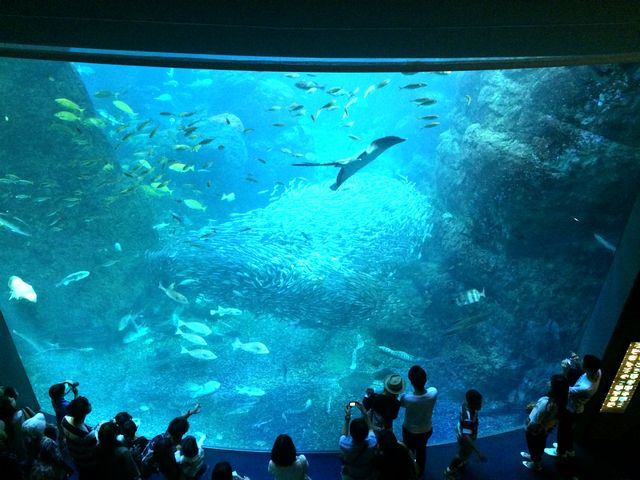 f:id:globalhead:20140720180526j:image f:id:globalhead:20140720180526j:image