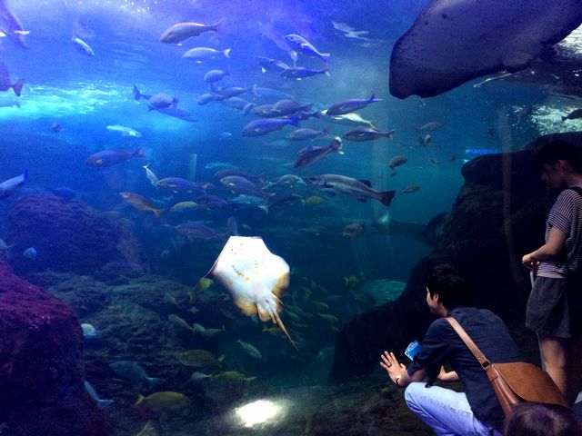 f:id:globalhead:20140720180527j:image f:id:globalhead:20140720180527j:image