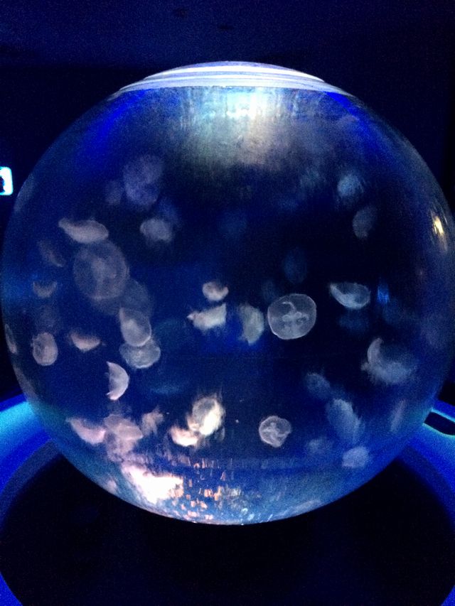 f:id:globalhead:20140720181448j:image f:id:globalhead:20140720181448j:image