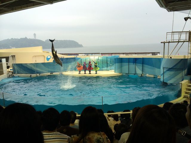 f:id:globalhead:20140720181740j:image f:id:globalhead:20140720181740j:image