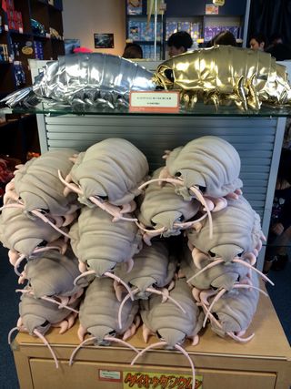 f:id:globalhead:20140720182055j:image f:id:globalhead:20140720182055j:image