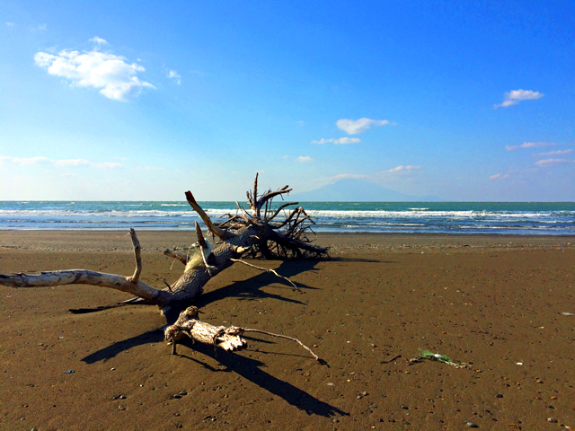 f:id:globalhead:20141026160702j:image